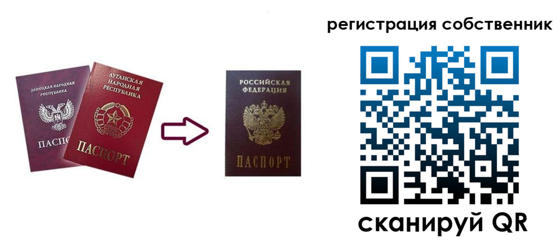 прописка для школы в Брянске